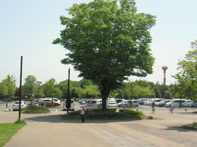 昭和記念公園の砂川口の駐車場